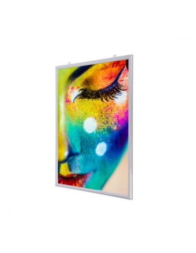 Homoyoyo Porte-Affiche Suspendu Noir – Cadre Transparent PVC Pour Magasins, Expositions Et Événements – Installation Facile Et Design Pro !